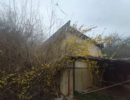 Auction Dražba rodinného domu Medlovice čp. 121, 682 01 Medlovice, včetně pozemků, podíl 1/2 image