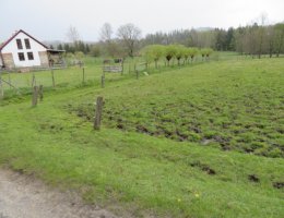 Auction ideální podíl o vel. 1/2 parcel v obci Kolinec image