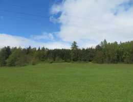 Auction ideální podíl o vel. 1/2 parcel v obci Kolinec image