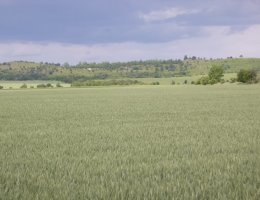 Auction Podíl na zemědělském pozemku v k.ú. Břvany, okr. Louny image