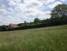 Auction Pozemky v k.ú. Geršov, okr. Žďár nad Sázavou image