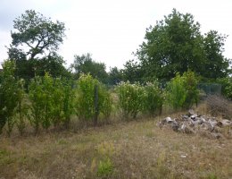 Auction Podíl na pozemcích v k.ú. Kostice, okr. Břeclav image