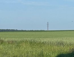 Auction Dražba podílu 1/6 na pozemcích, Řepeč, okr. Tábor image